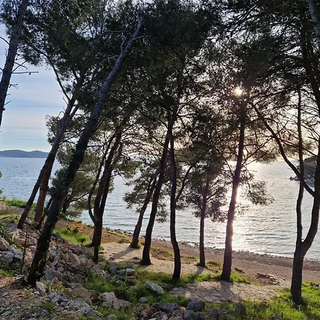 Hébergement de vacances Olive 3 *