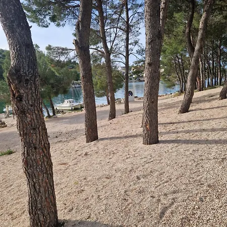 Prázdninový dům Olive 3
